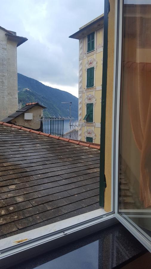 B&B Il Pesce Doro Camogli Dış mekan fotoğraf